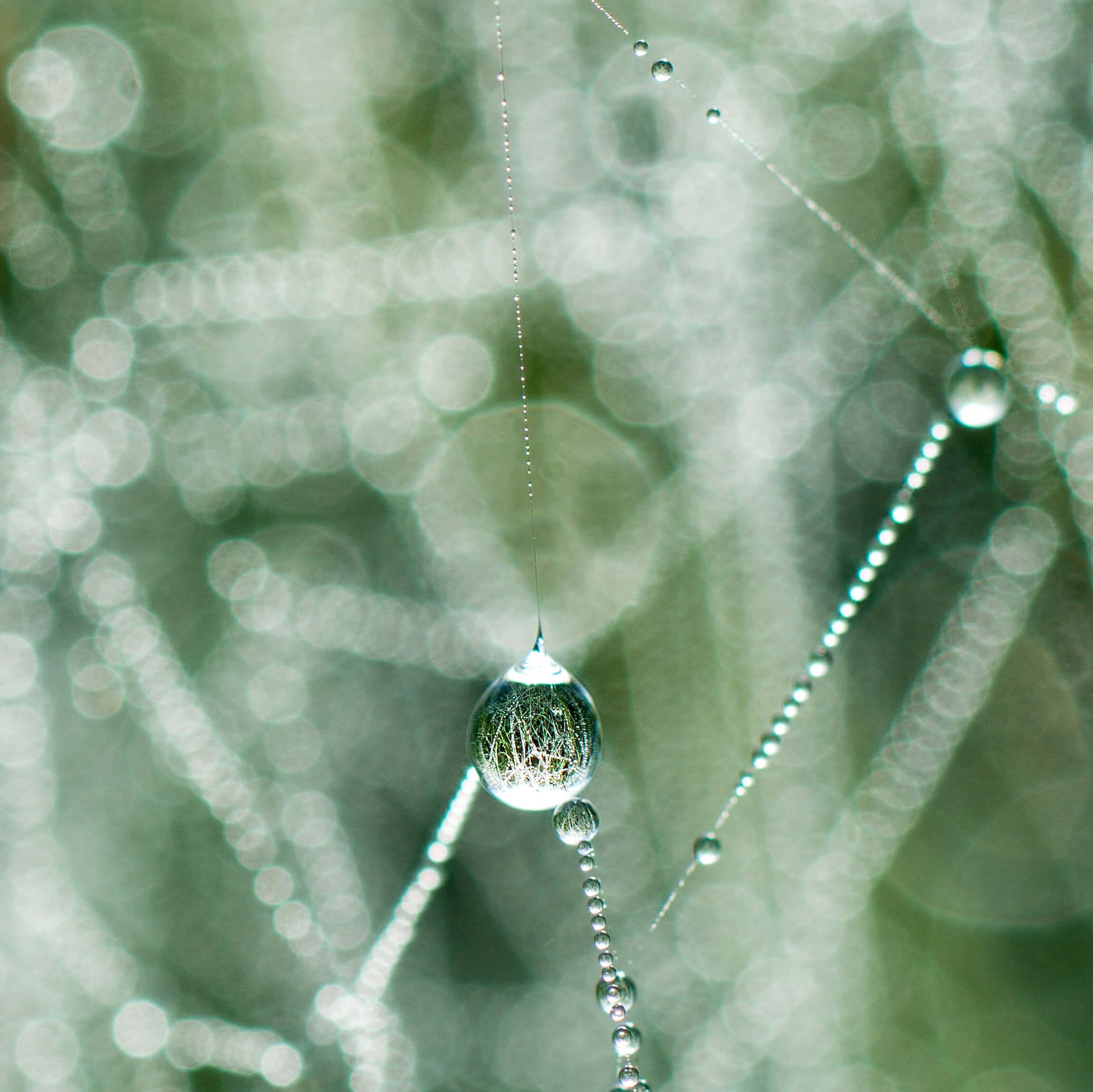 20150927-DSC00555.jpg
