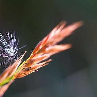 20200919-DSC09986