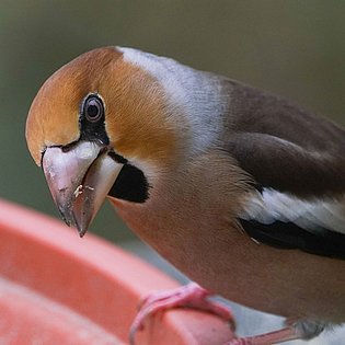 20201130-DSC01397