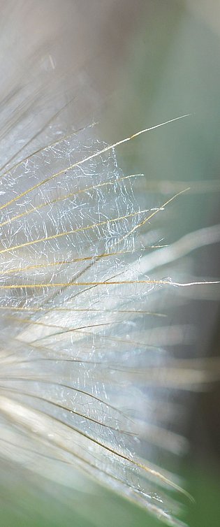 20200919-DSC09991