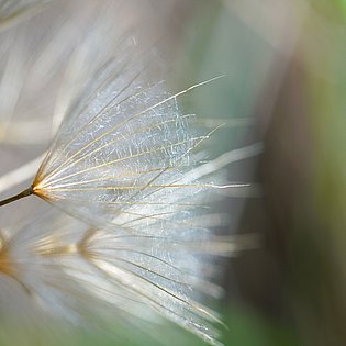 20200919-DSC09991