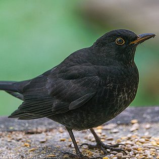 20201130-DSC01321