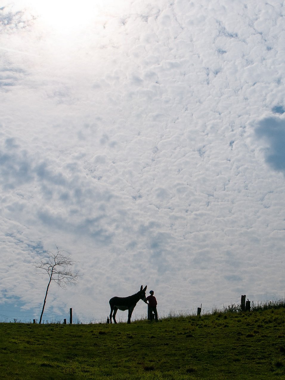 20110820-ESC_2765.jpg