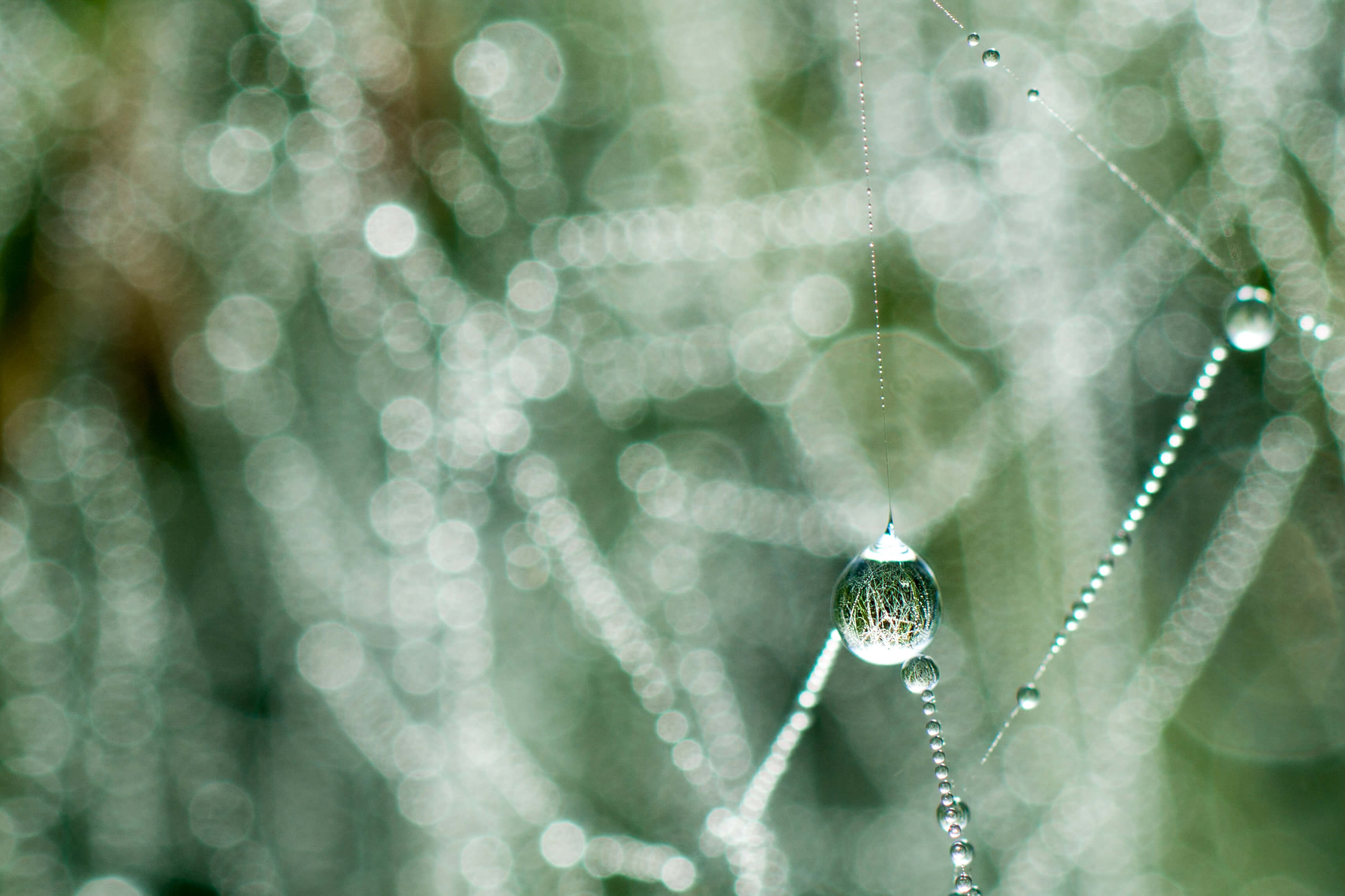 20150927-DSC00555.jpg