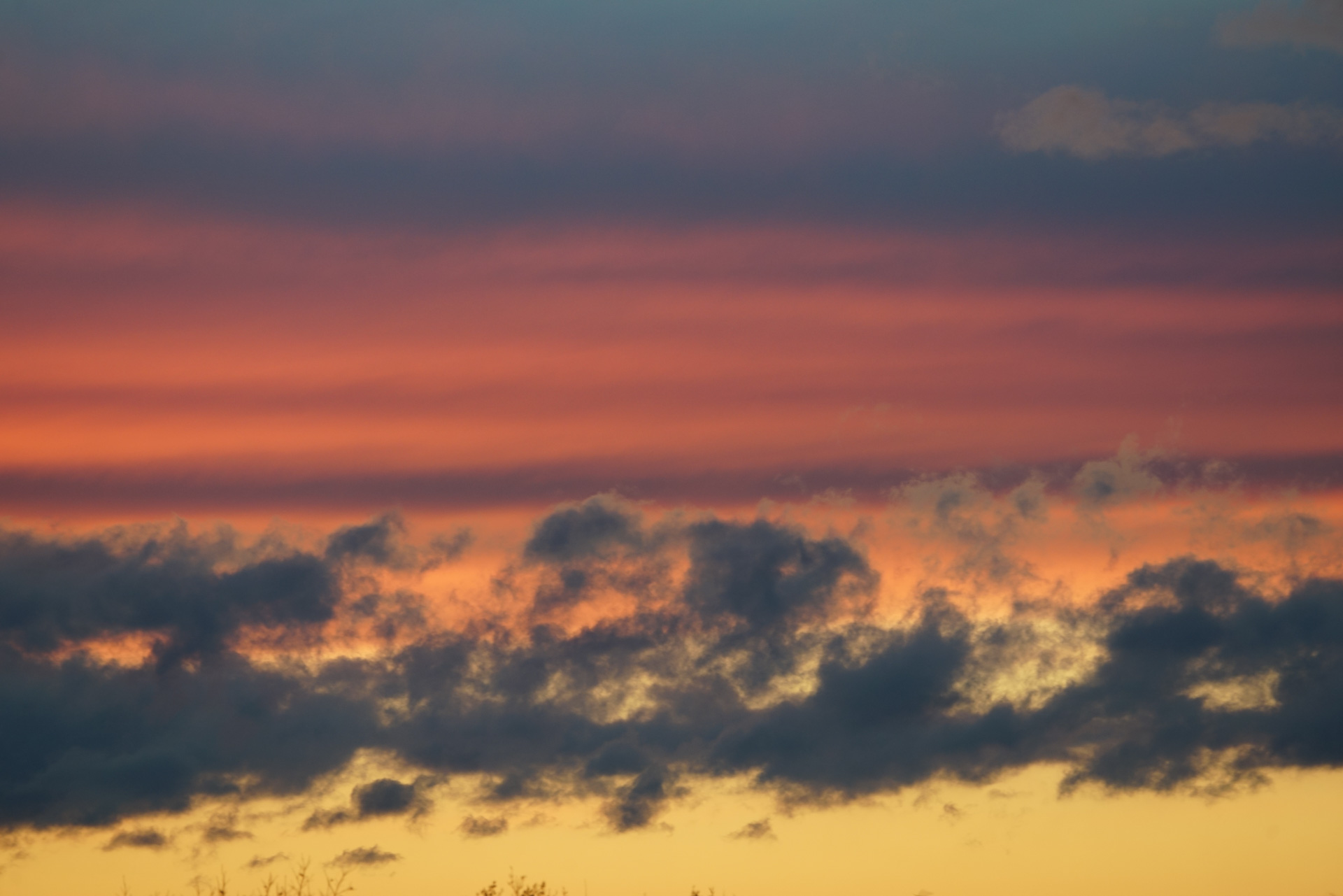 20201204-DSC01463
