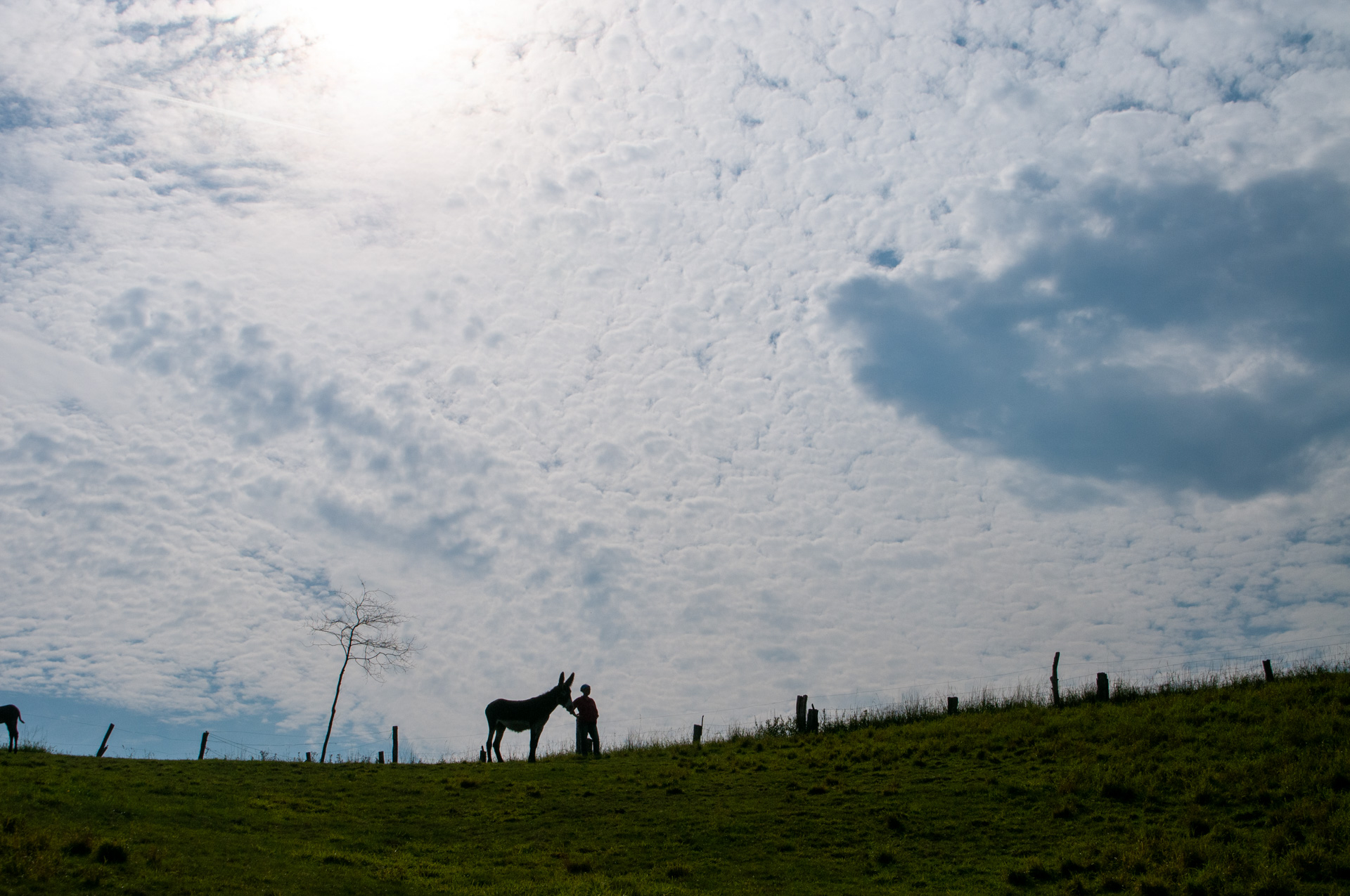 20110820-ESC_2765.jpg 20110820-ESC_2765.jpg